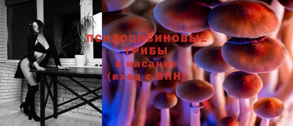 крисы Волоколамск