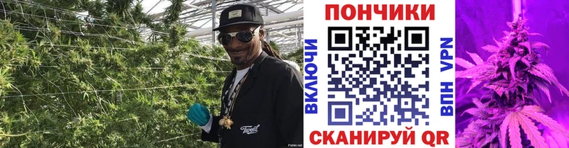 как найти закладки  Дмитровск  Шишки марихуана сатива 